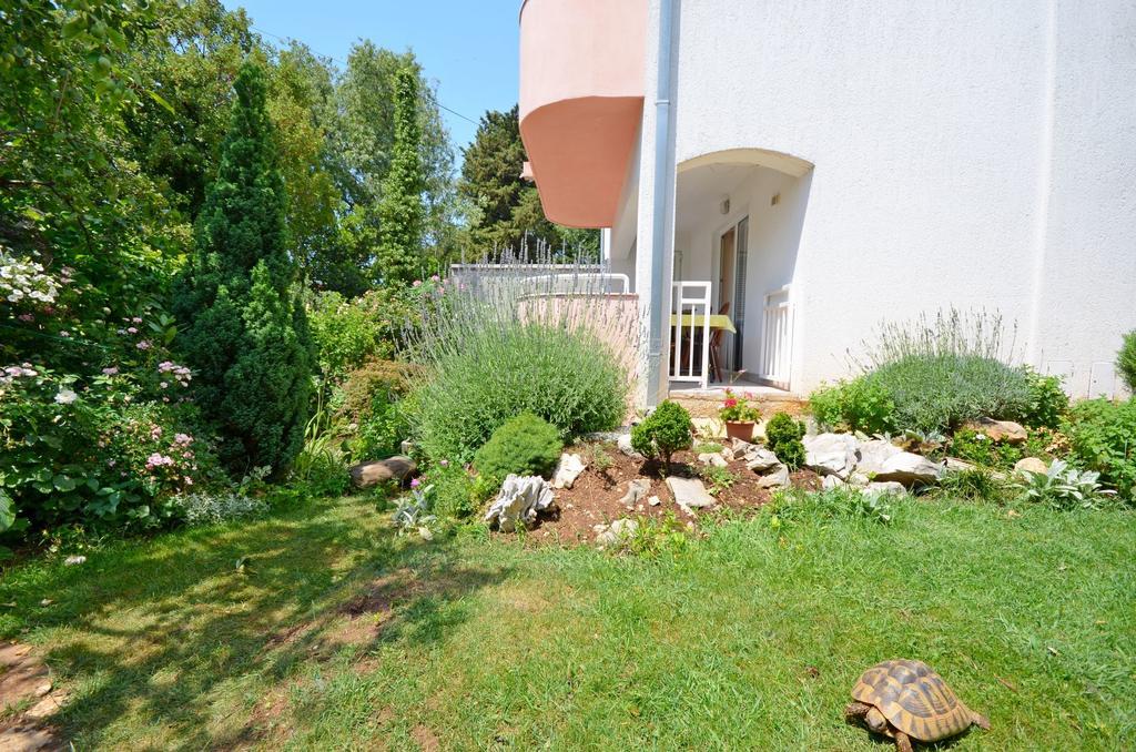 Apartments Snjezana Нови-Винодолски Экстерьер фото